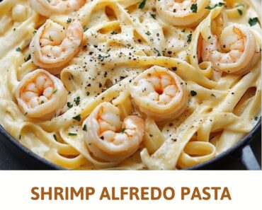 Shrimp Alfredo Pasta