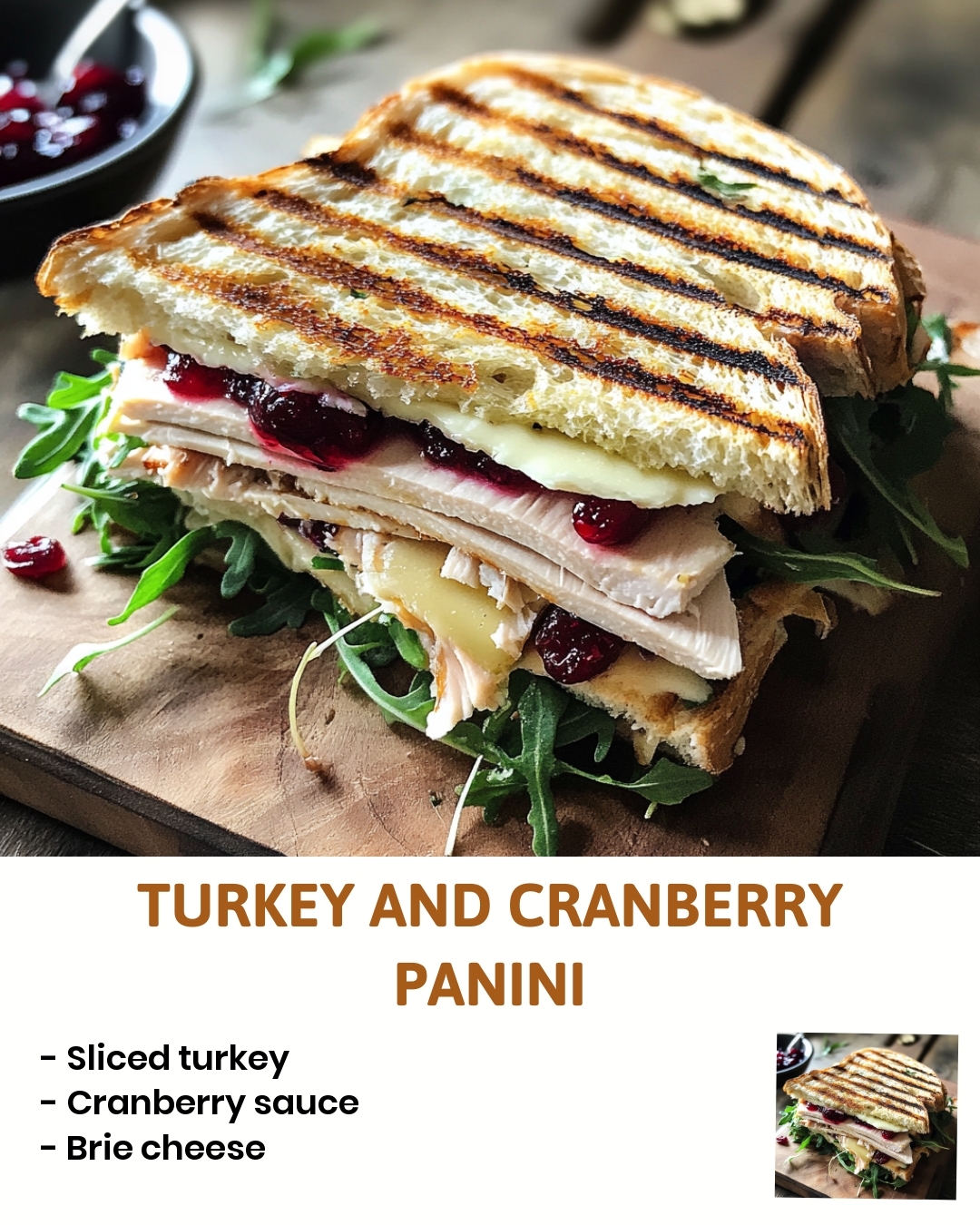 Turkey and Cranberry Panini